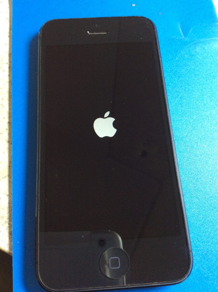 iPhone5リンゴループ